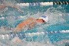 Swimming vs Bentley  Wheaton College Swimming & Diving vs Bentley College. - Photo by Keith Nordstrom : Wheaton, Swimming & Diving